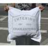 Home Place and Gather | Entering Charlestown 20 X 20 Pillow In Dorian Grey