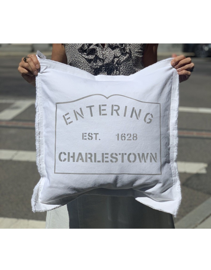 Home Place and Gather | Entering Charlestown 20 X 20 Pillow In Dorian Grey