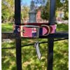 Lifestyle Place and Gather | Needlepoint Bunker Hill Flag Dog Collar In Pink