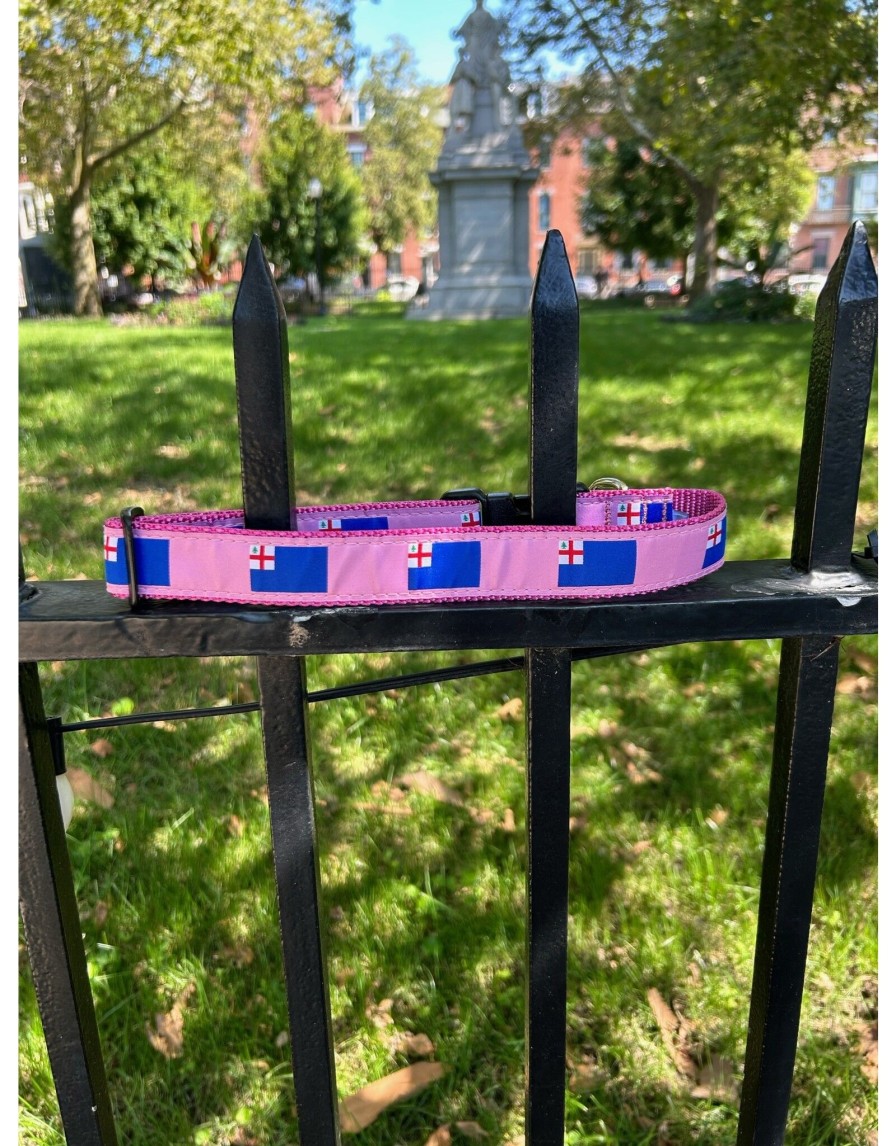 Lifestyle Place and Gather | Bunker Hill Flag Dog Collar In Pink