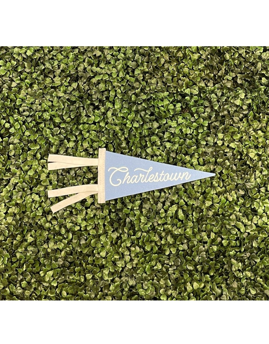 Home Place and Gather | Mini Charlestown Pennant In Light Blue By Oxford Pennant