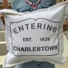 Home Place and Gather | Entering Charlestown 20 X 20 Pillow In Hale Navy