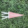 Home Place and Gather | Mini Charlestown Pennant In Light Pink By Oxford Pennant