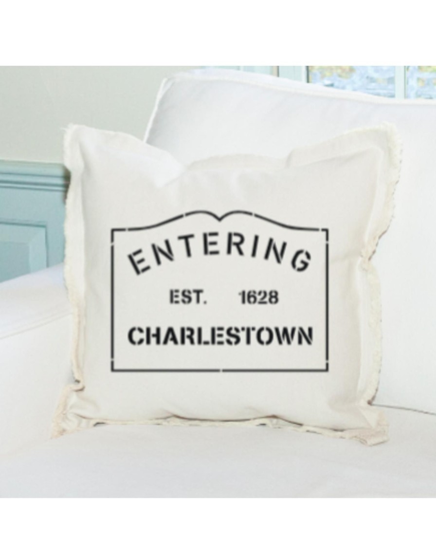 Home Place and Gather | Entering Charlestown 20 X 20 Pillow In Black